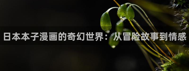 禁漫天堂免费a漫comic：日本本子漫画的奇幻世界：从冒险故事到情感