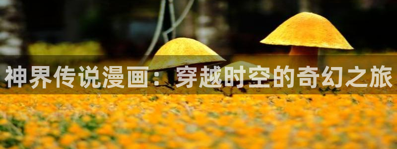 禁漫天堂s：神界传说漫画：穿越时空的奇幻之旅